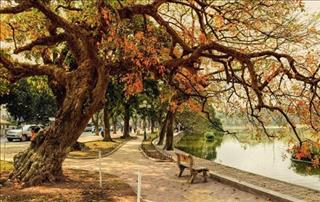 Dự báo thời tiết ngày mai 26/9: Hà Nội nắng nóng kéo dài