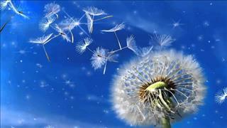 Tử vi thứ 2 ngày 1/10/2018 của 12 con giáp: Hợi có đôi, Mão muộn phiền