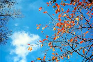 Dự báo thời tiết hôm nay 28/9: Miền Bắc đề phòng dông lốc