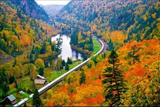 Tử vi Chủ nhật ngày 7/10/2018 của 12 con giáp: Dần lục đục, Thân phát tài