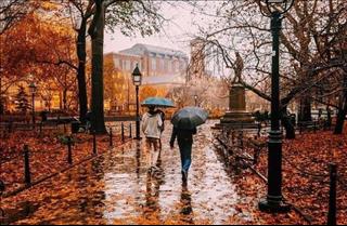 Tử vi Thứ 2 ngày 10/9/2018 của 12 cung hoàng đạo: Kim Ngưu bị lừa, Song Tử làm biếng