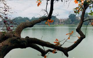 Dự báo thời tiết hôm nay 7/9: Sài Gòn mưa về chiều tối