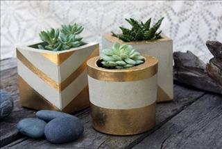 Tử vi tuần mới từ 21 – 27/1/2019 của 12 con giáp: Thân hạnh phúc, Hợi buồn tình