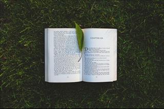 Tử vi Thứ 3 ngày 22/1/2019 của 12 cung hoàng đạo: Bạch Dương quyến rũ, Xử Nữ trách nhiệm