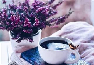 Tử vi thứ 3 ngày 12/2/2019 của 12 con giáp: Tý bực mình, Dần nhiều tiền