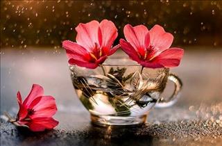 Tử vi Thứ 2 ngày 18/2/2019 của 12 cung hoàng đạo: Nhân Mã tỉnh táo, Thiên Bình xuất sắc