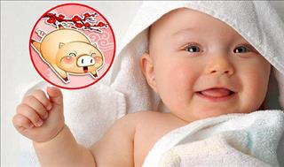 Tuổi Hợi sinh con năm tuổi 2019 có tốt không?