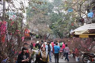 Dự báo thời tiết 10 ngày tới (từ 29/1-7/2/2019): Nhiệt độ miền Bắc có xu hướng tăng dần trong dịp Tết Nguyên Đán Kỷ Hợi