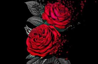 Tử vi Thứ 6 ngày 11/1/2019 của 12 cung hoàng đạo: Hổ Cáp mụ mị, Bảo Bình bất ổn