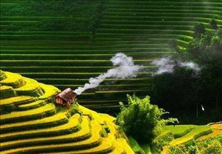 Tử vi Thứ 3 ngày 15/1/2019 của 12 con giáp: Dần số đỏ, Thìn muộn phiền