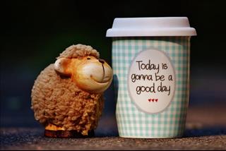 Tử vi thứ 3 ngày 8/1/2019 của 12 cung hoàng đạo: Ma Kết thân thiện, Song Ngư nóng tính