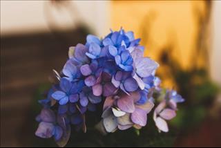 Tử vi Thứ 5 ngày 10/1/2019 của 12 cung hoàng đạo: Kim Ngưu cô đơn, Bảo Bình chán nản