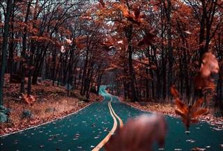 Tử vi thứ 5 ngày 17/1/2019 của 12 con giáp: Sửu thư thả, Tuất có quý nhân