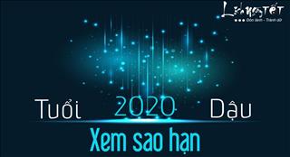 Xem SAO HẠN 2020 tuổi Dậu: Đầy đủ các tuổi Đinh Dậu, Kỷ Dậu, Tân Dậu, Quý Dậu, Ất Dậu
