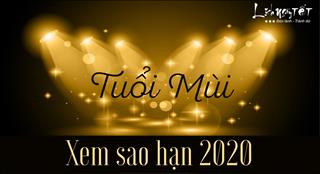 Xem SAO HẠN 2020 tuổi Mùi: Chi tiết các tuổi Quý Mùi, Tân Mùi, Đinh Mùi, Ất Mùi, Kỷ Mùi