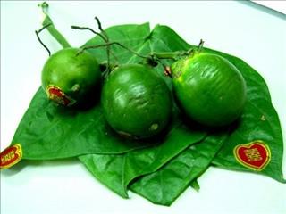 Ý nghĩa của quả cau trong giấc mơ