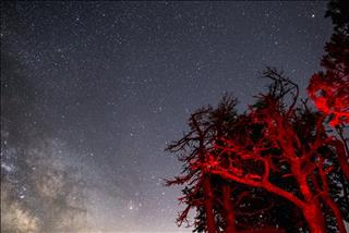 Sao Thái Âm là gì? Sao tốt sao phải cúng giải hạn?