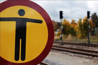 12 con giáp nên chú ý điều gì trong năm 2020 để mọi chuyện như ý?