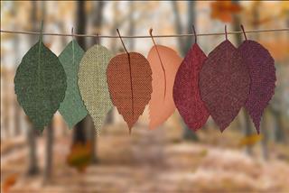 Tử vi tháng 11/2019 của 12 cung hoàng đạo: Cự Giải lười nhác, Sư Tử do dự