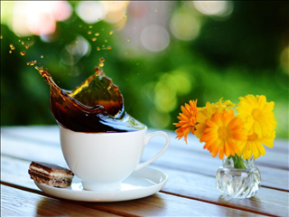 Tử vi thứ 4  ngày 30/10/2019 của 12 con giáp: Ngọ buồn thương, Sửu hốt bạc