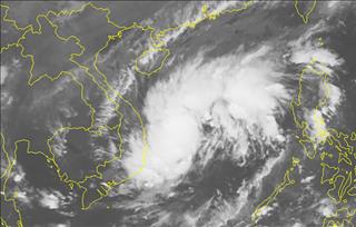 Tin bão khẩn cấp: Bão số 5 tăng cấp, đổ bộ Quảng Ngãi - Khánh Hòa chiều nay