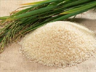 Giấc mơ về lúa gạo ẩn chứa điều gì?