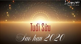 Xem SAO HẠN 2020 tuổi Sửu: Chi tiết các tuổi Tân Sửu, Ất Sửu, Đinh Sửu, Kỷ Sửu, Quý Sửu