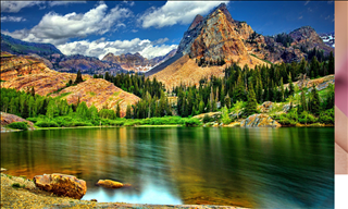 Tử vi chủ nhật ngày 3/11/2019 của 12 con giáp: Tị kiếm tiền tốt, Tuất tình cảm khó thành