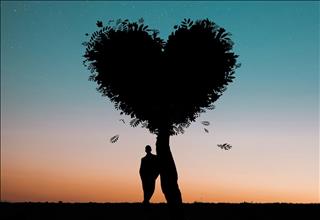 Tử vi hàng ngày 5/11/2019 về tình yêu của 12 con giáp: Dần mộng mơ