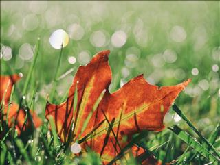 Tử vi Thứ 7 ngày 16/11/2019 của 12 cung hoàng đạo: Thiên Bình phá cách, Nhân Mã rối loạn