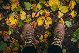 Nhất định phải tránh những món đồ khiến bạn nghèo đi này trong năm mới