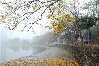 Dự báo thời tiết 3 ngày tới 20-22/11: Đất liền mưa dông và rét, biển Đông bão KALMAEGI suy yếu