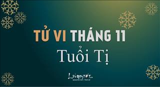 Tử vi tháng 11/2019 tuổi Tị âm lịch: Căng thẳng, dễ sai sót
