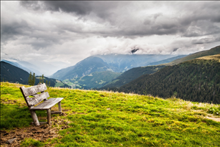 Tử vi Chủ nhật ngày 24/11/2019 của 12 con giáp: Mùi suy ngẫm, Dần mất tiền