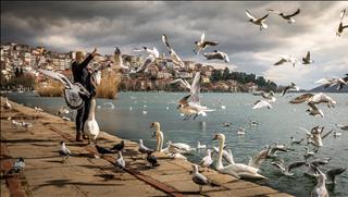 Tử vi thứ 7 ngày 23/11/2019 của 12 con giáp: Tý thuận lợi, Sửu suôn sẻ