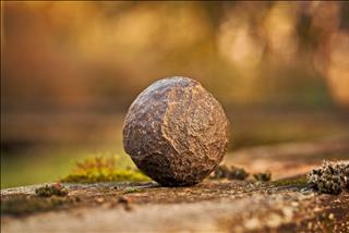 Tử vi thứ 2 ngày 2/12/2019 của 12 con giáp: Tý gặp tiểu nhân, Dần nhiều áp lực