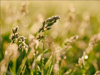 Tử vi Thứ 7 ngày 7/12/2019 của 12 cung hoàng đạo: Thiên Bình hoài niệm, Song Tử bồn chồn