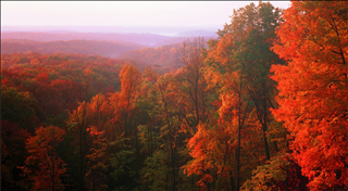 Tử vi thứ 4 ngày 6/11/2019 của 12 con giáp: Mão mạnh mẽ, Hợi cần tập trung