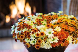 Tử vi thứ 5 ngày 14/11/2019 của 12 con giáp: Mão quyết đoán, Tuất cởi mở