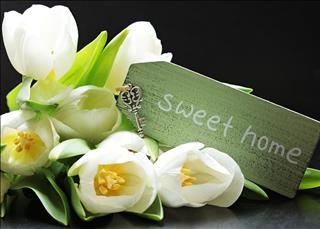 Tử vi thứ 6 ngày 15/11/2019 của 12 con giáp: Tý nổi bật, Thìn buồn bực