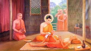 Học tập ngay phương pháp chữa bệnh của Đức Phật trước khi quá muộn