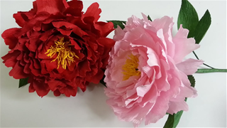 Tử vi Thứ 4 ngày 11/12/2019 của 12 cung hoàng đạo: Bảo Bình e ngại, Song Tử bất ổn