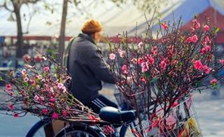 Dự báo thời tiết Tết Nguyên Đán Canh Tý 2020: Miền Bắc có thể đón rét đậm, rét hại