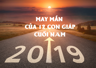 Cuối năm 2019 may mắn gì đang chờ đợi 12 con giáp?