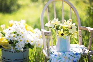 Tử vi tuần mới của 12 cung hoàng đạo (9/12 - 15/12/2019): Song Tử tích cực, Bảo Bình cảm tính