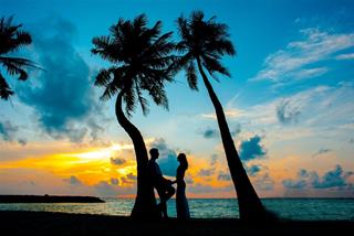 Tình yêu nữ Kim Ngưu nam Thiên Bình: Vun vén xây tổ ấm hạnh phúc