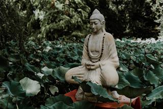 Lời Phật dạy về lòng tin: Tiết lộ nơi bạn có thể đặt 100% niềm tin vào đây