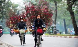 Dự báo thời tiết 3 ngày tới 1-3/1/2020: Miền Bắc rét đậm và mưa rào, miền Nam mưa dông rải rác
