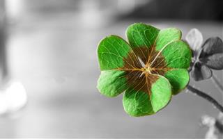 Muốn tình tiền đầy tay, 12 chòm sao đừng bỏ lỡ những ngày may mắn trong tháng 12/2019 dương lịch