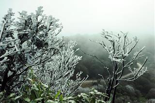 Dự báo thời tiết 3 ngày tới 7-9/12: Bổ sung một đợt không khí lạnh với cường độ mạnh gây rét hại nhiều nơi